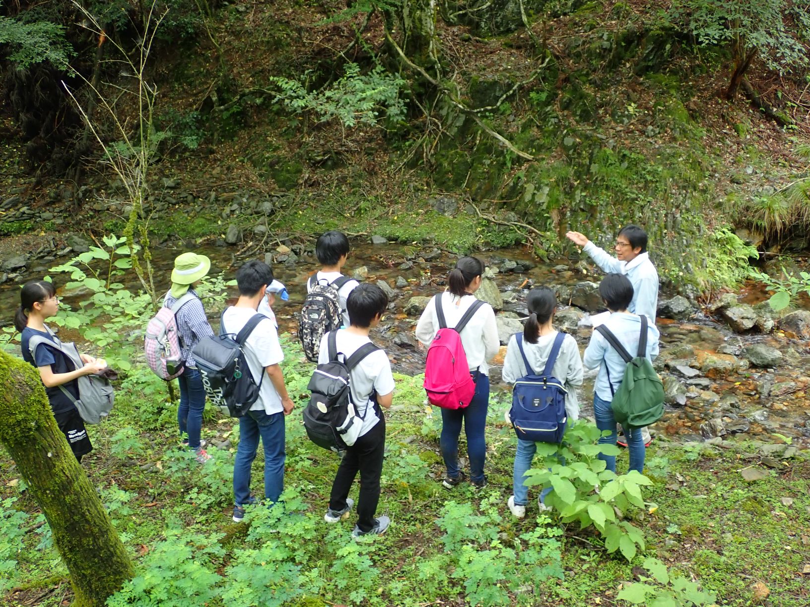 �k���ώ@