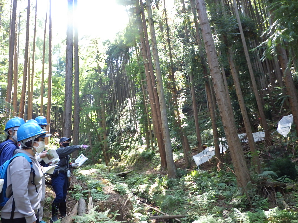 kouyouzann